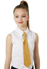 Load image into Gallery viewer, Satin Tie
